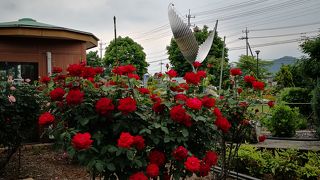 バラが美しい道の駅