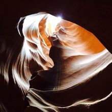 ハートは大人気。ガイドさんが教えてくれます