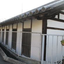 やっと見れた姿です