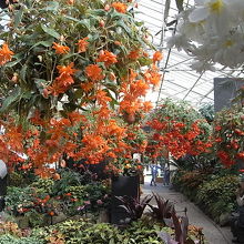 コンサバトリー