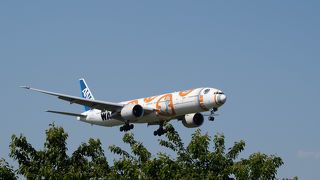 定番の航空写真撮影地