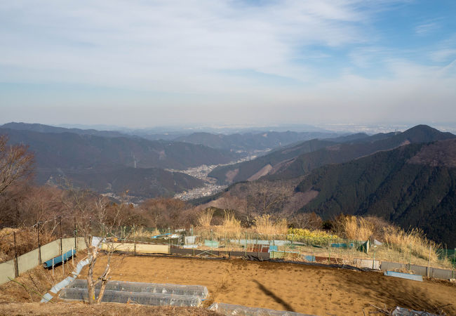 御岳山(埼玉県秩父市)