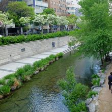 キレイに整備された河川公園といった趣きの清渓川沿い。