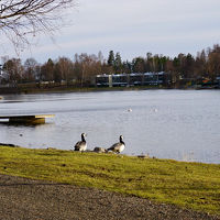 ホテル敷地内をお散歩