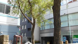 たまたま休憩で座った小さな広場で遭遇☆