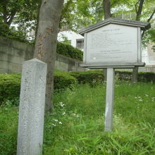 雑草が生えている中に、この碑はありました。