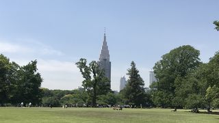 自然あふれる公園でリラックスできる
