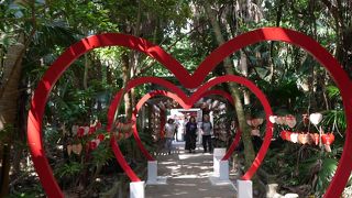 南国の雰囲気満点の神社　青島神社