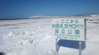 抜海原生花園