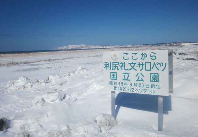 抜海原生花園