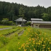 のどかな田園の先にある札所