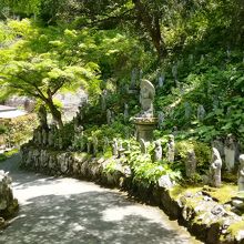 本堂に向かう参道には無数の石仏群