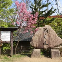 弥彦山最高地点である弥彦神社奥宮前に設置された石碑