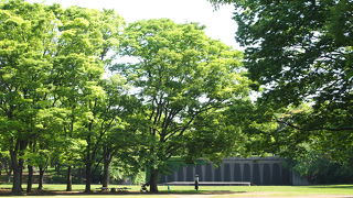 広々した駅に近い公園