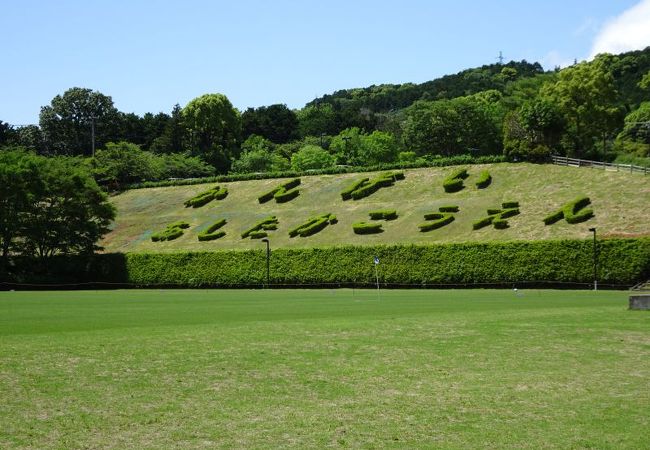 広ーい運動公園