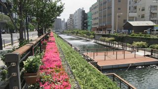 北十間川に沿って造られています