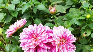 都会のど真ん中にある公園　小休憩に良いです