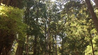 高野山●奥の院 幻想的パワースポット