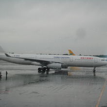 成田～上海のA330-300です。