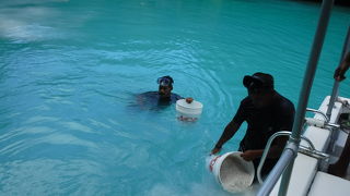 ミルキーウェイとシュノーケリング！