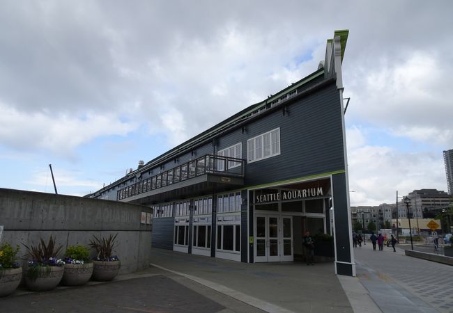 シアトル水族館