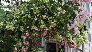 のんびりできる植物園です