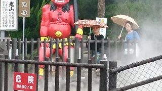 日本で熱利用初のワニ飼育