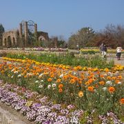 広すぎる有料の公園です。