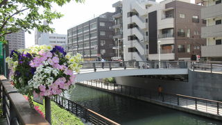 東京スカイツリーの前です