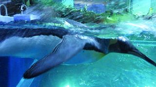 早い時間が遅い時間がお薦め