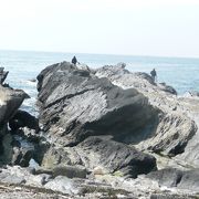 城ヶ島西端の険しい岩場の釣り場