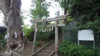 大國魂神社の末社