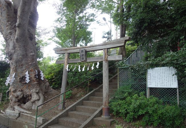 大國魂神社の末社