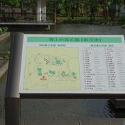 府中市自慢の大きな公園