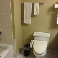 シャワーも壁への固定式でないので、自由にあてられる