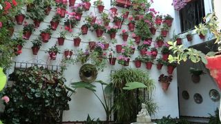 面白そうなバルが目白押し