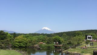 離れた場所からも！！！