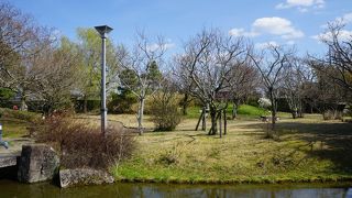 田中城跡としては唯一それらしい保存がされている場所