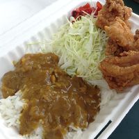 これは唐揚げカレー