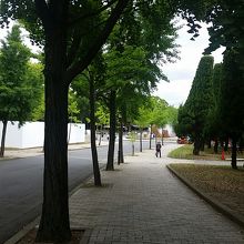 公園内も綺麗