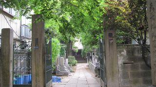 「幕末の三舟」のひとり高橋泥舟の墓があります