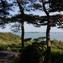 松の木の下からの眺めがよい