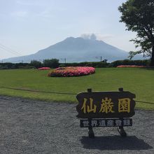 桜島が見えます