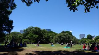 バラがとても綺麗でした