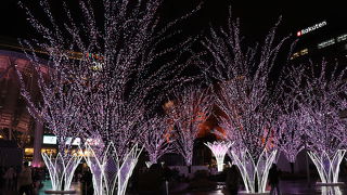 通年開催されている