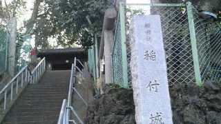 江戸城～岩槻城を中継する山城だったそうです