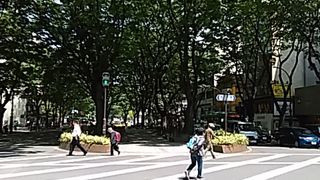 様々な色彩とイベントでみんなを楽しませてくれる通りです