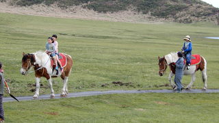 のんびりした風景の中を、ゆったりと馬に揺られていい気分！
