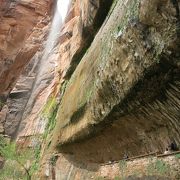 ひときわ目立つ岩の屋根