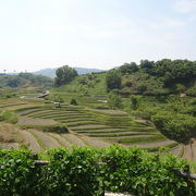 棚田１００選の名に恥じぬ光景